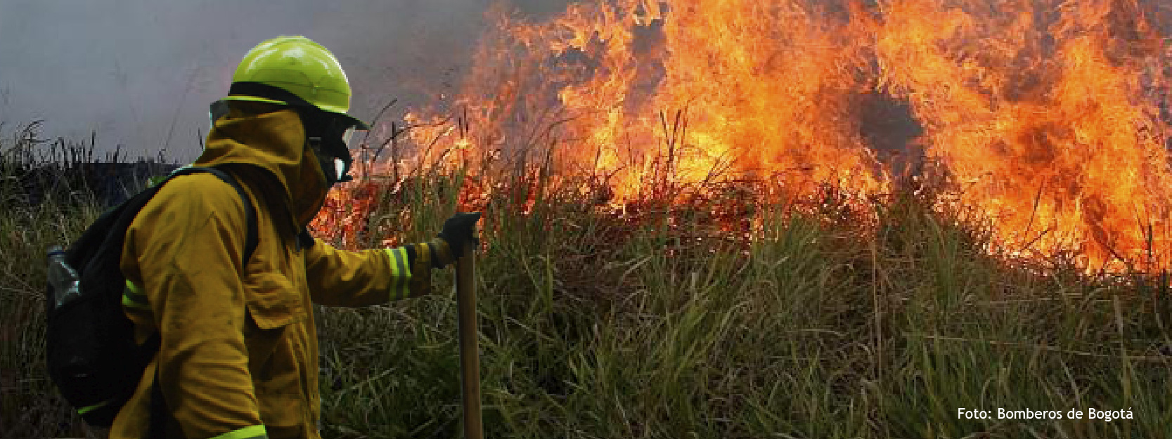 El Tribunal Administrativo de Cundinamarca, admitió acción popular contra la Presidencia de la República y varios ministerios por no garantizar mecanismos adecuados para intervenir los recientes incendios forestales en el país