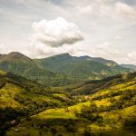 Tribunal Administrativo de Cundinamarca ordena garantizar medidas de protección culturalmente adecuadas al pueblo indígena Awá CAMAWARI para nueva asamblea de elección de autoridades