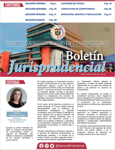 Boletín Jurisprudencial No 53