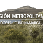 El Tribunal Administrativo de Cundinamarca avaló el ingreso del Departamento de Cundinamarca a la Región Metropolitana de Bogotá.