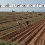 Tribunal Administrativo de Cundinamarca ordenó a la ANT impulsar trámite de formalización de tierras